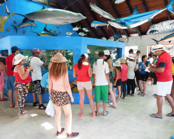 Oceanario en Cartagena