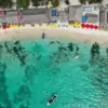 disfruta las mejores playas de Cartagena playa blanca barú