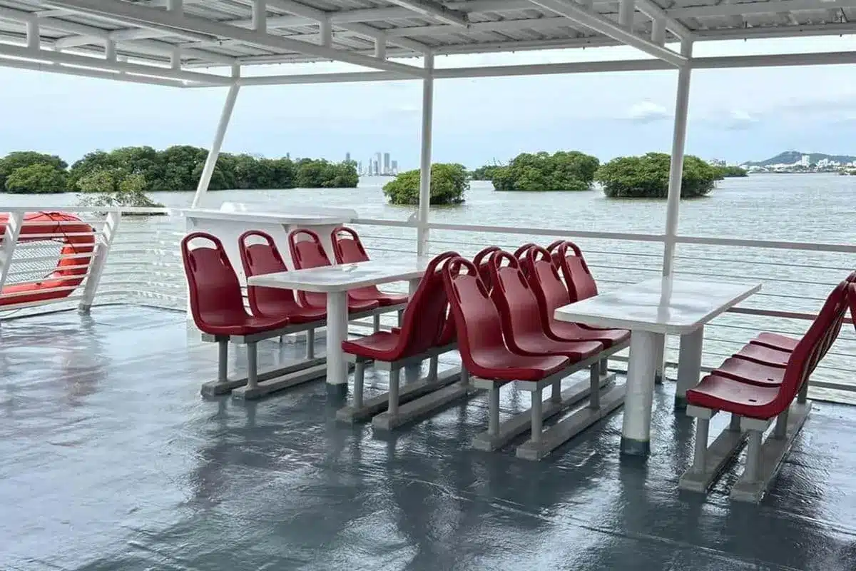 San Silvestre Aqua Caribe - Imagen 9