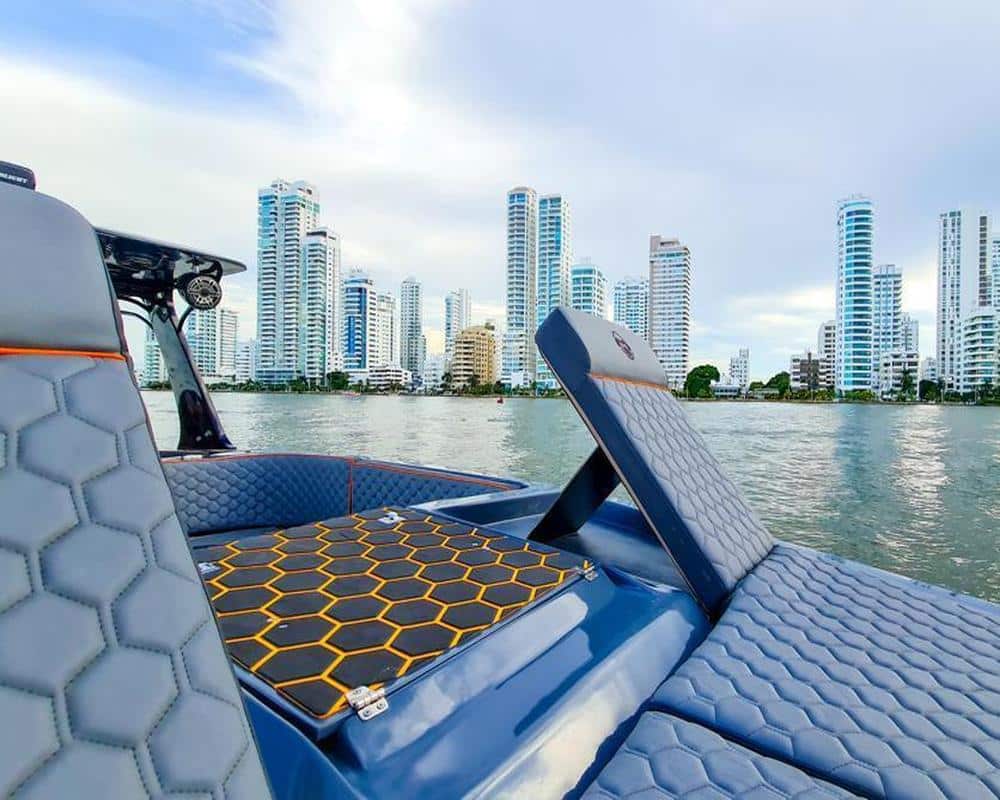 Lancha Black Shepp - Image 6