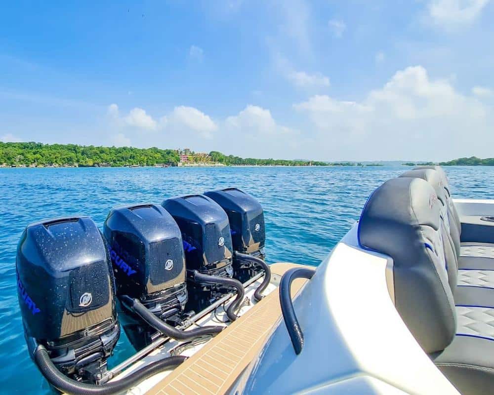 Yate Black Phanter - Image 14